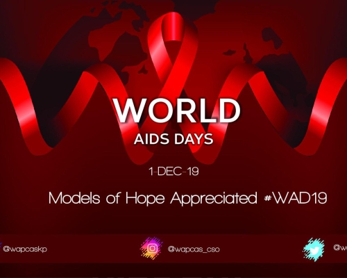 The role of Models of Hope Recognized by President Nana Addo